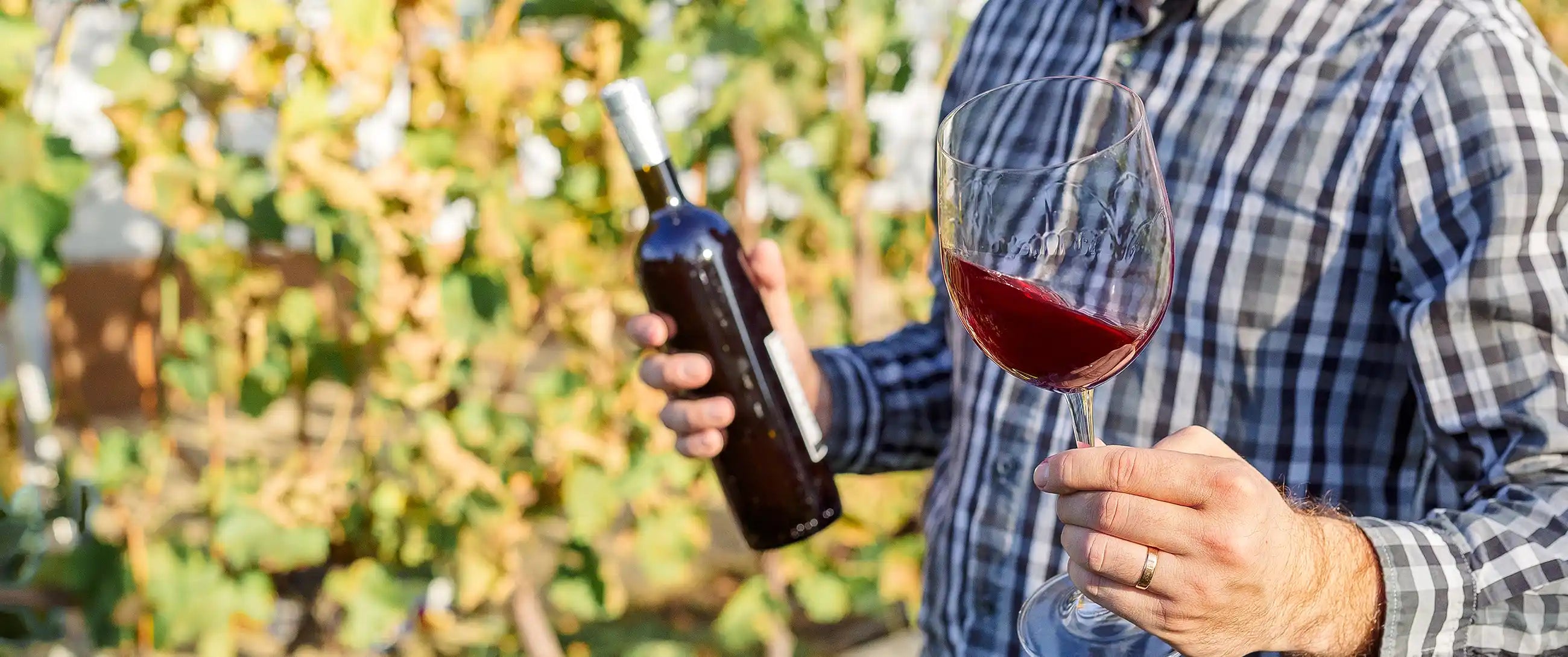 Texas CEO Magazine Explores Texas Winemakers