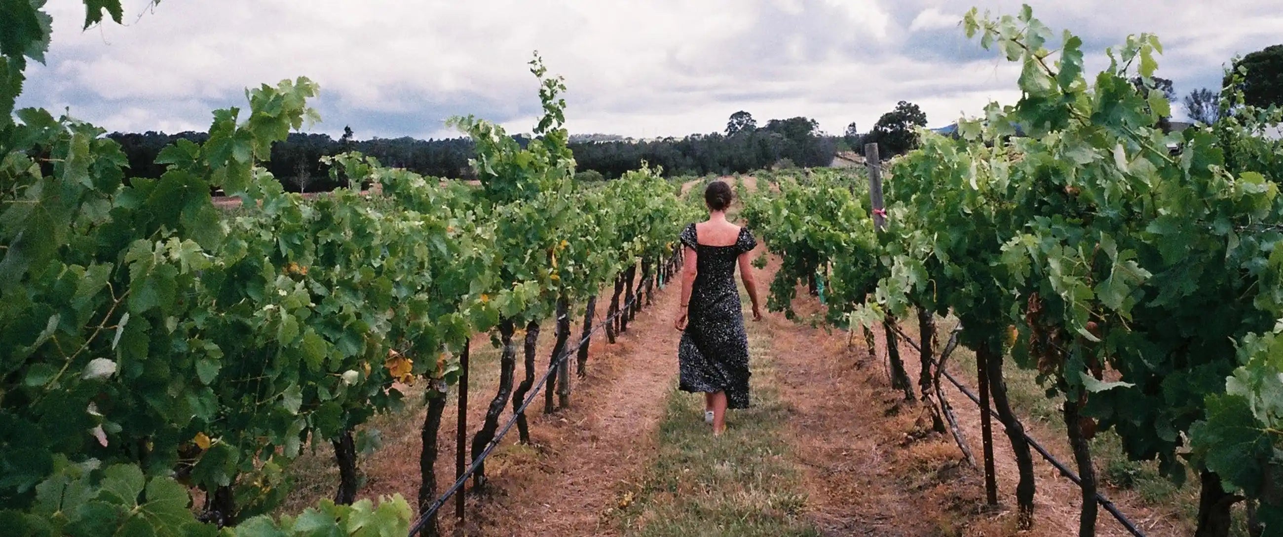 Hear from Forbes on The Texas Torch Carriers