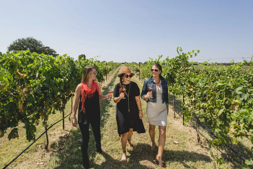 "7 Up-and-Coming Wine Regions That Should Be on Your Radar" from Wine Enthusiast