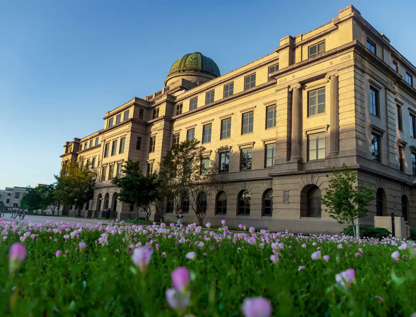 Scholarship Donation