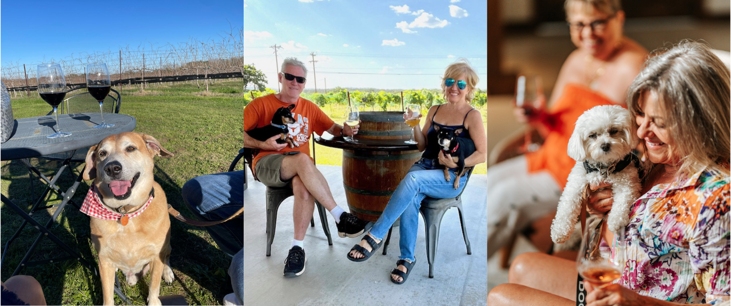 Dog Friendly Wineries in the Texas Hill Country Texas Hill Country Wineries