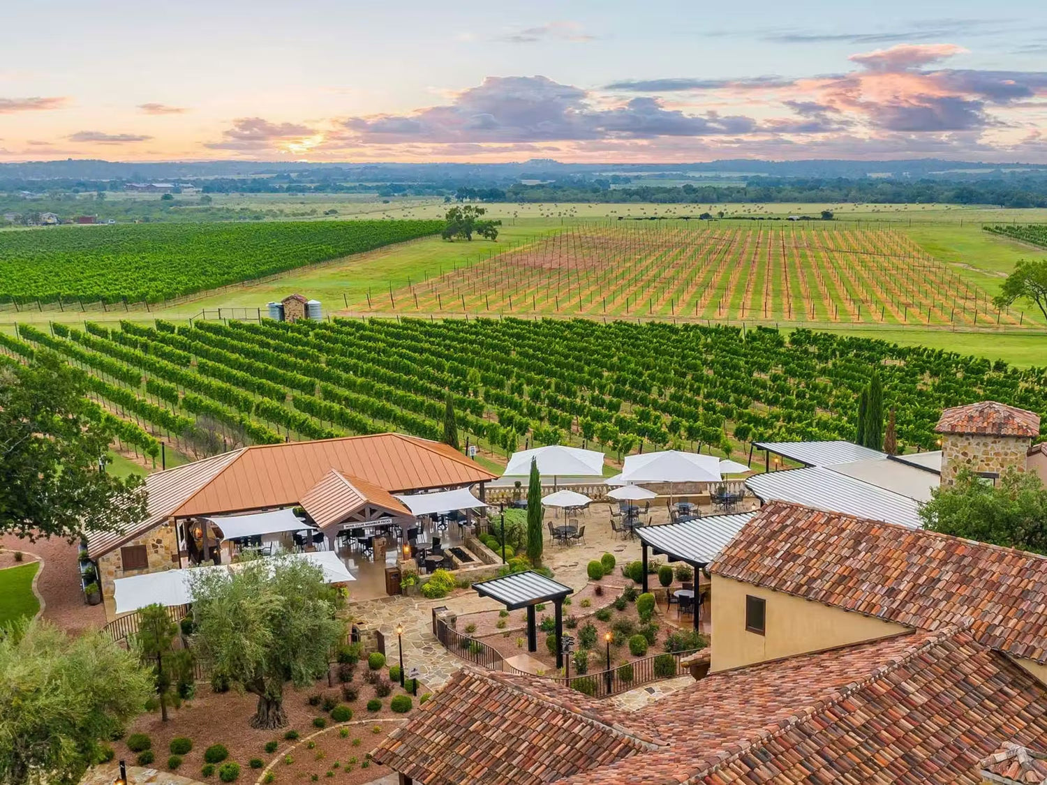 Texas Hill Country uncorks No. 3 spot among best U.S. wine regions