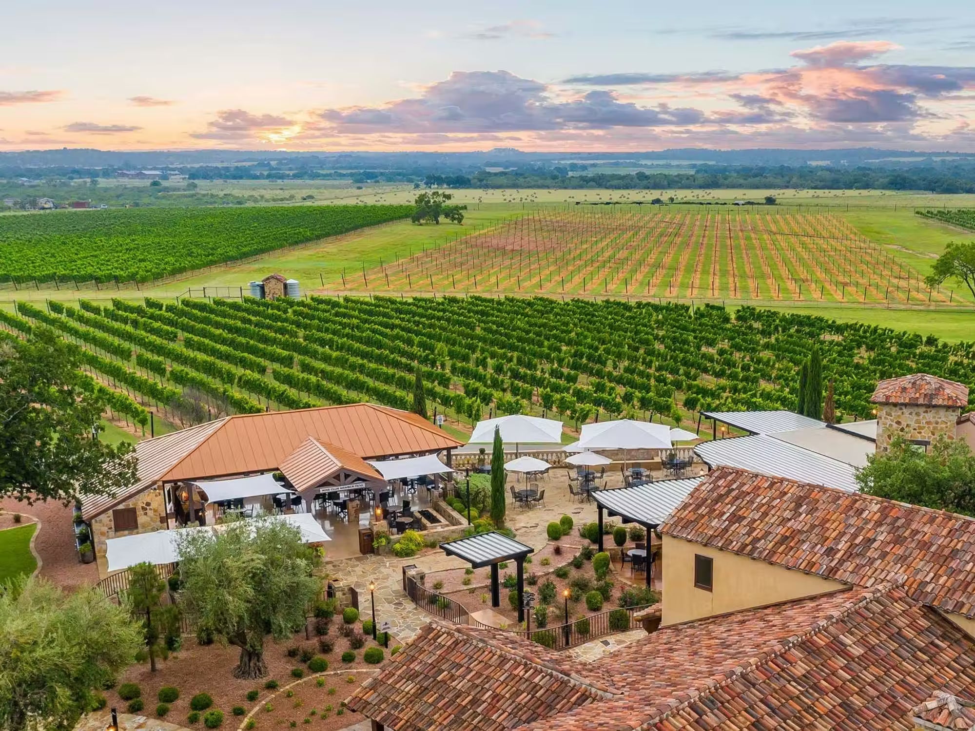 Texas Hill Country uncorks No. 3 spot among best U.S. wine regions