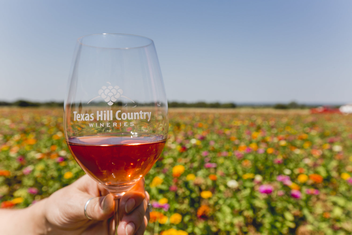 Sip & See the Blooms: Texas Hill Country Wildflowers Paired with Texas Wines