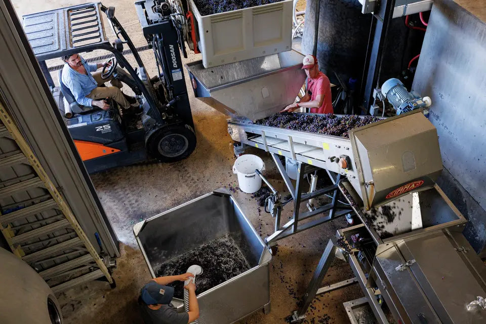Texas Hill Country wineries weather floods, freezes - and keep growing