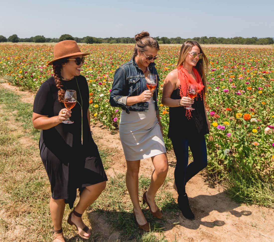 wine tour texas hill country